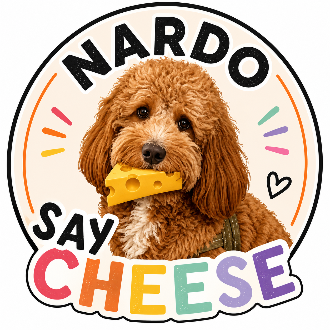 Nardo Say Cheese